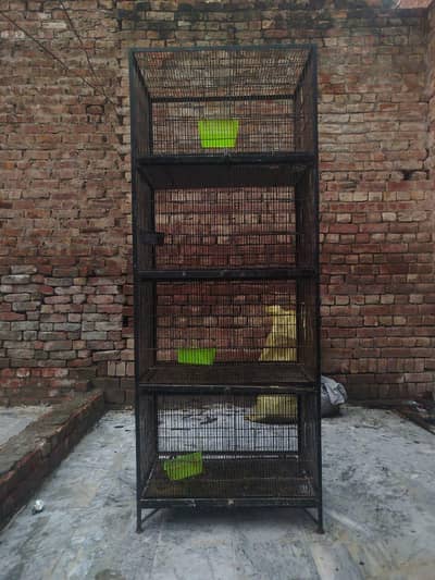 pinja for hens or other birds