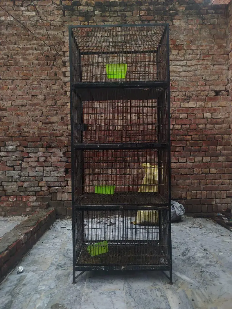 pinja for hens or other birds