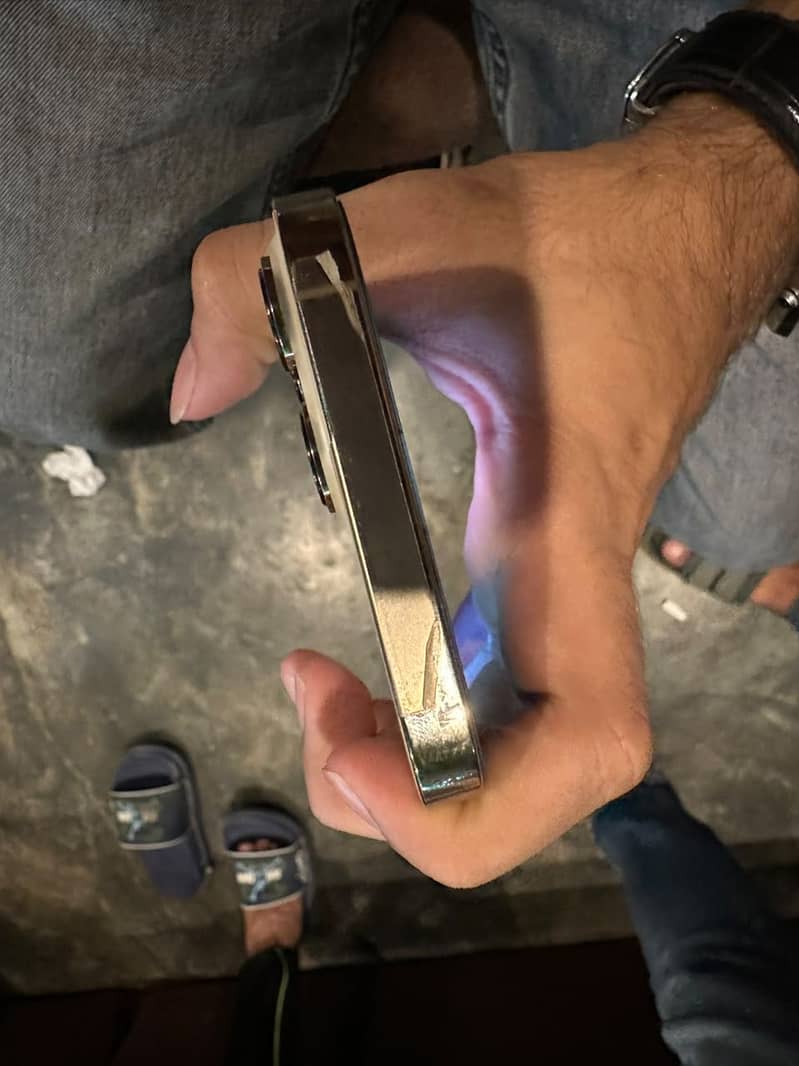 Apple iPhone 13 Pro Max 11