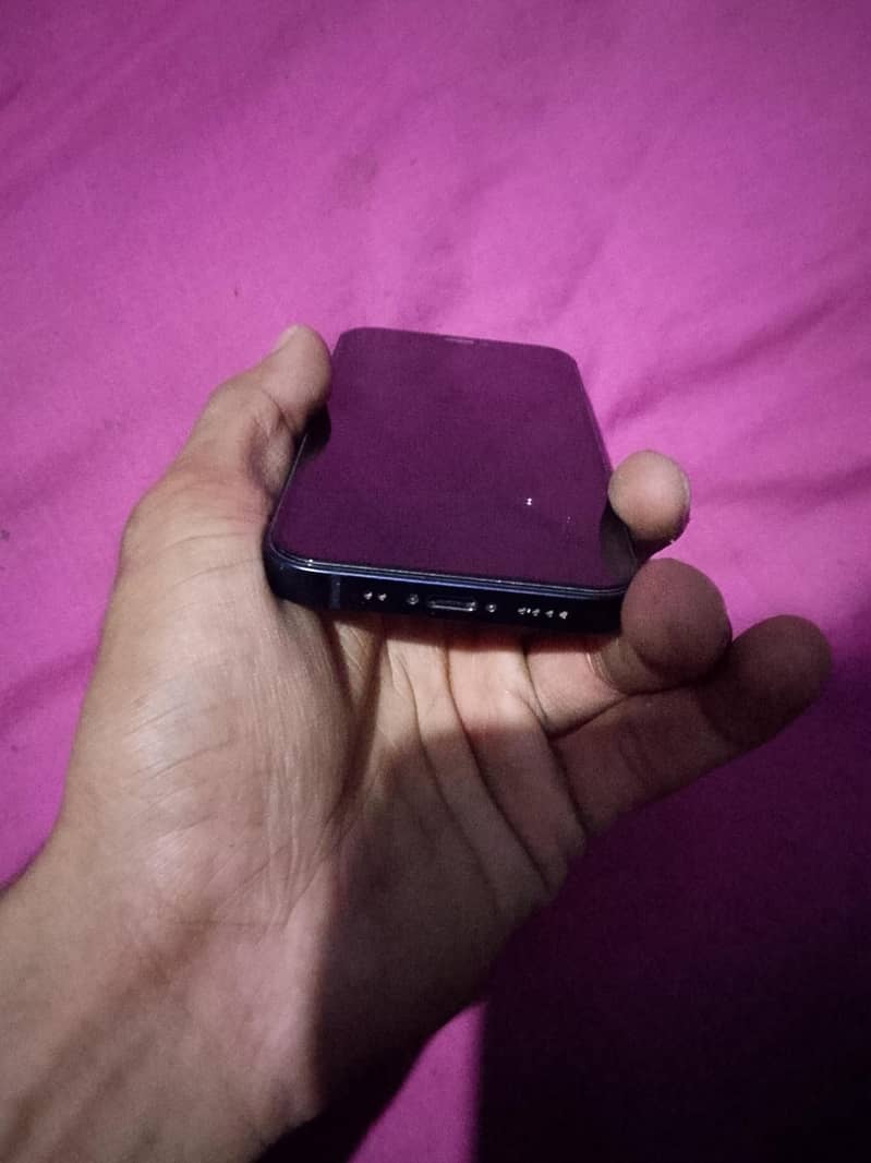 Apple iPhone 12 mini 1
