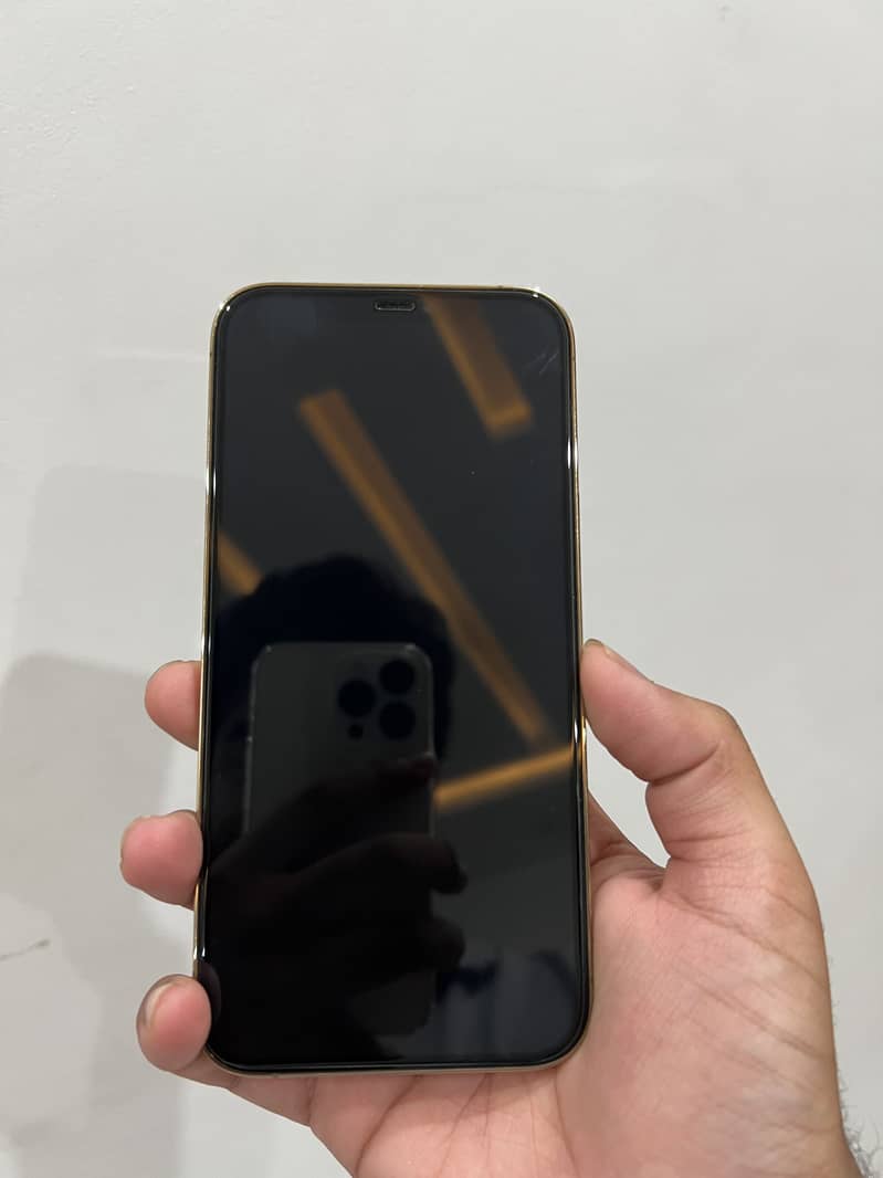 Apple iPhone 12 Pro Max 1