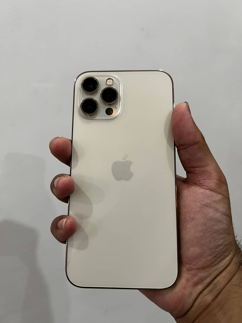 Apple iPhone 12 Pro Max 2