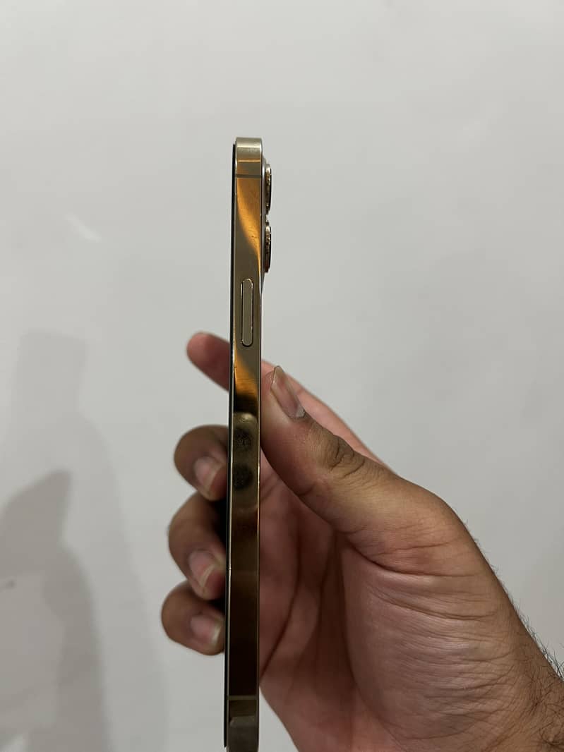 Apple iPhone 12 Pro Max 5