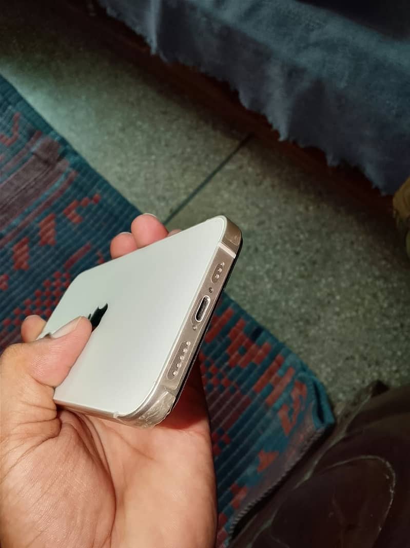 Apple iPhone 13 0