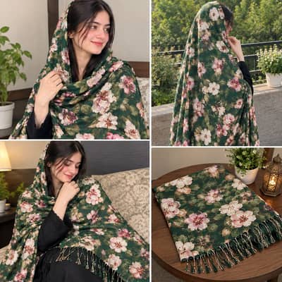 Wool Pasha’s stollar winter
