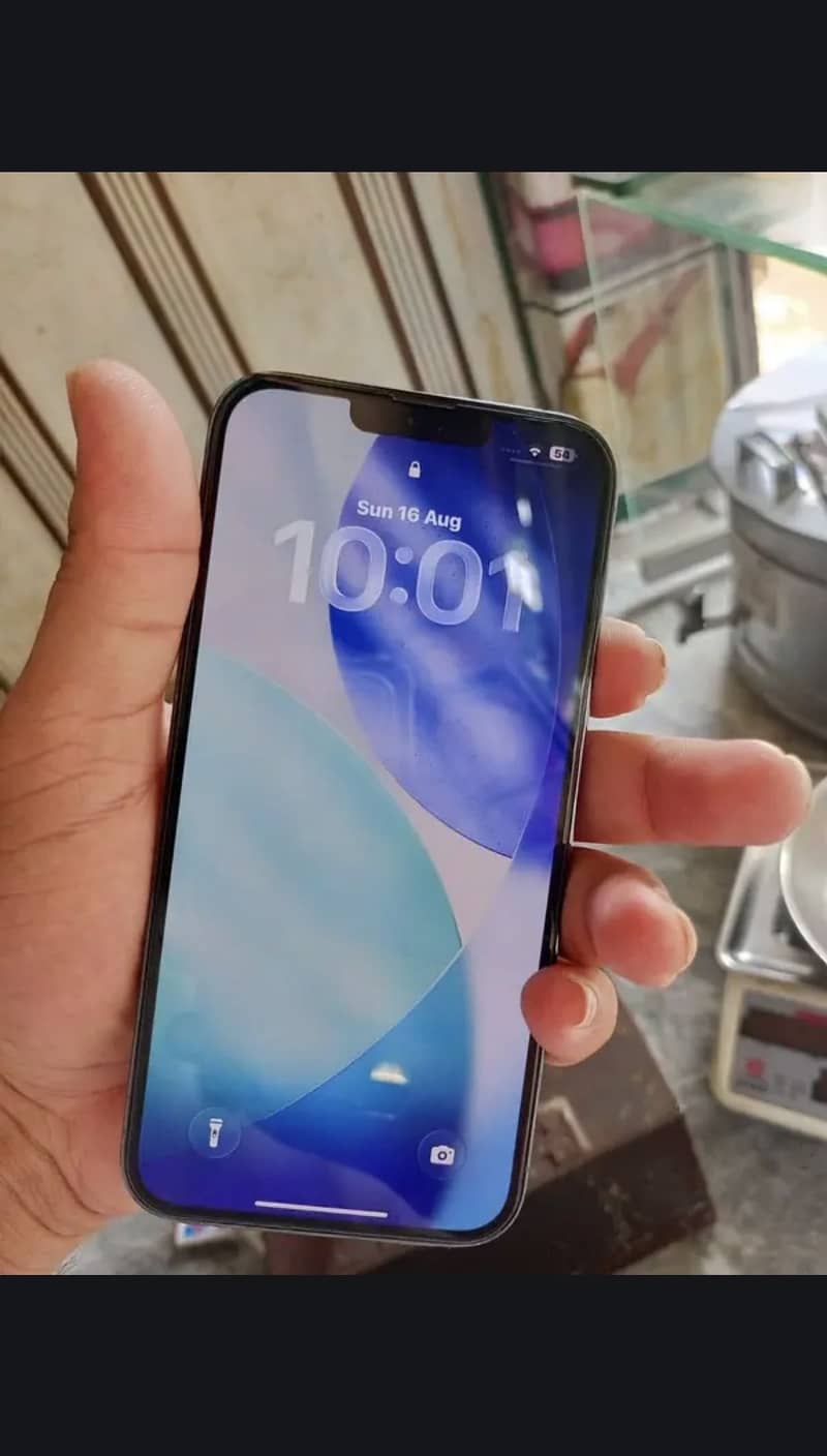 Apple iPhone 13 Pro Max 1