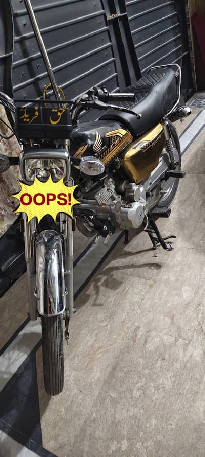 Honda 125 Gold addition 2024 2025 model