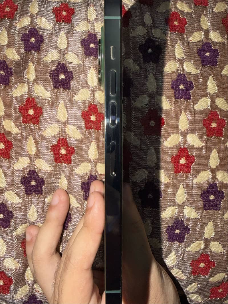 Apple iPhone 13 Pro Max 2