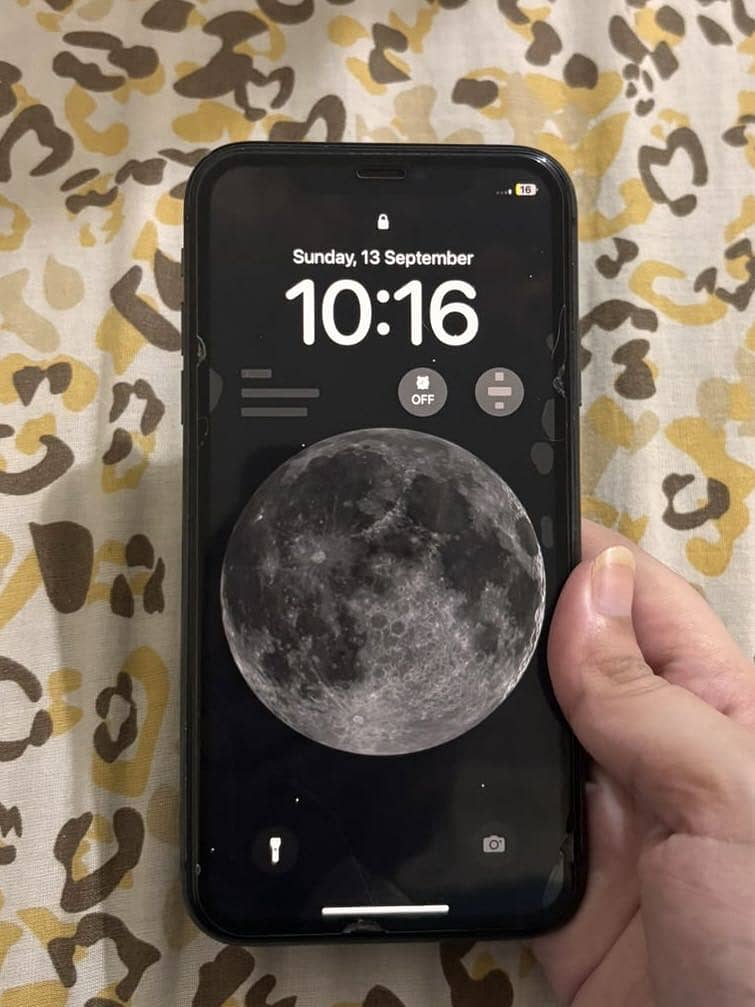Apple iPhone 11 0