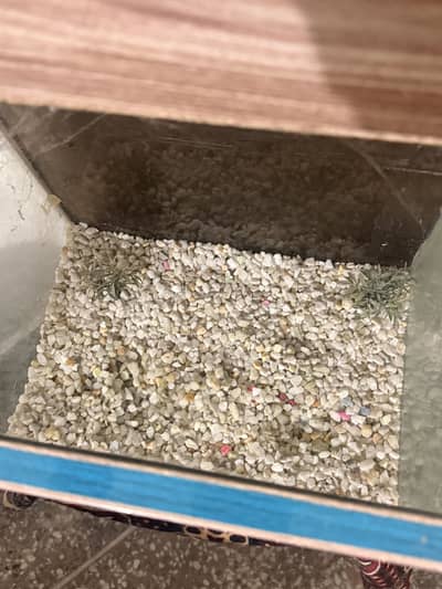 Aquarium