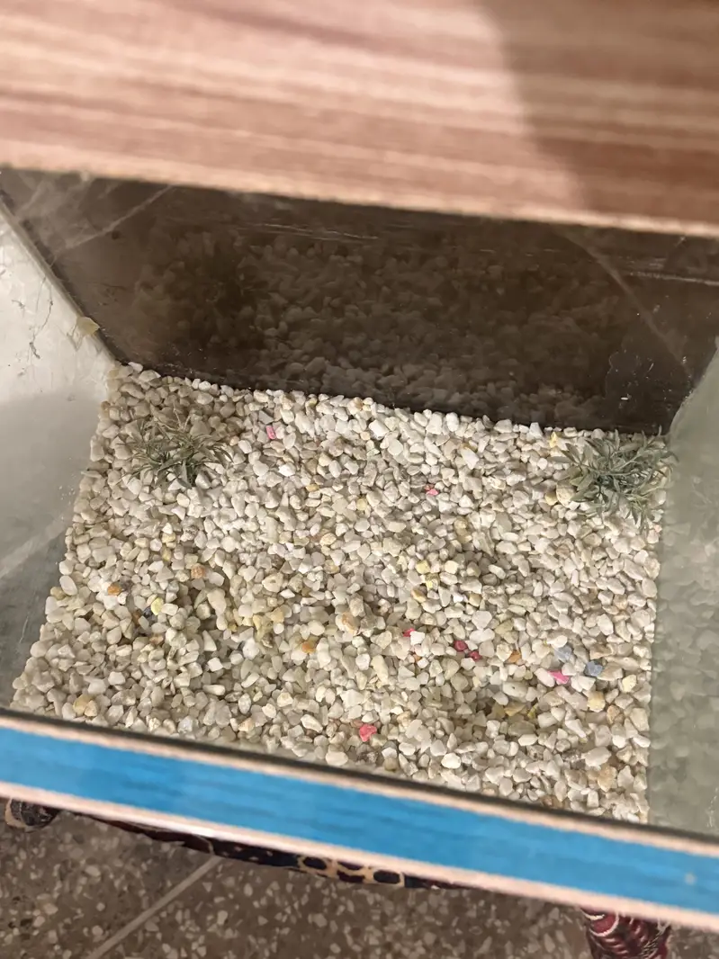 Aquarium