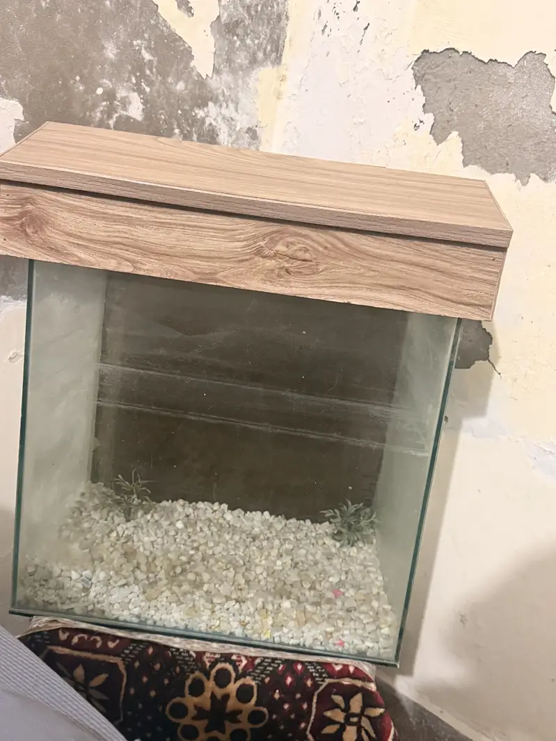Aquarium — photo 2