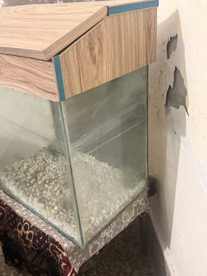 Aquarium — photo 4