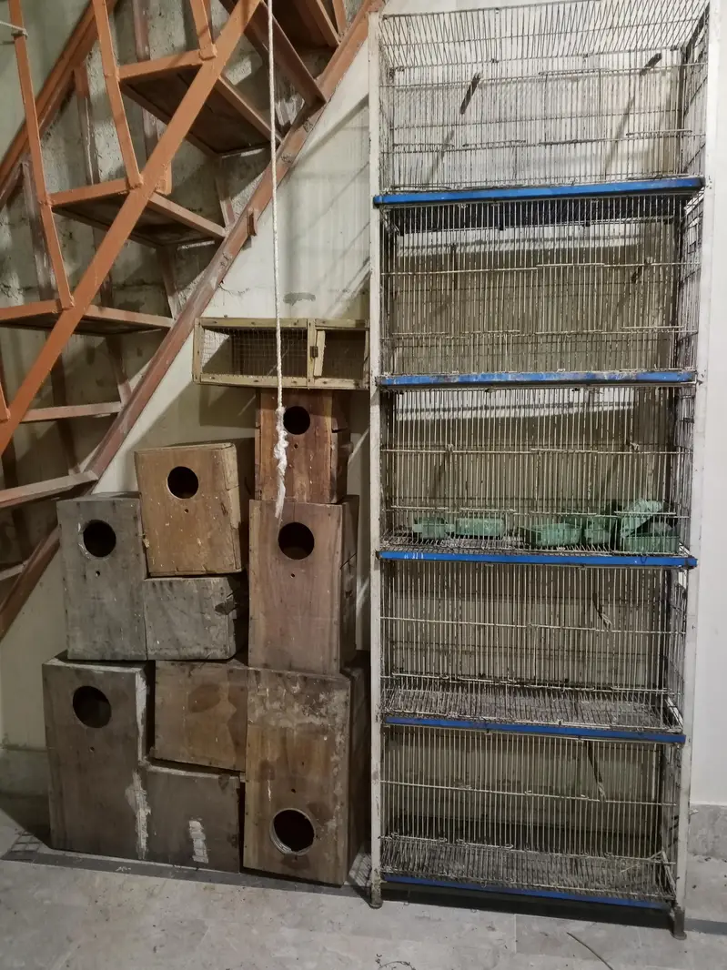 cage for sale and box keeker — photo 2