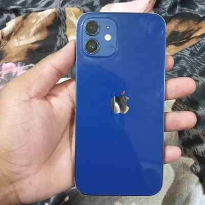 I phone 12