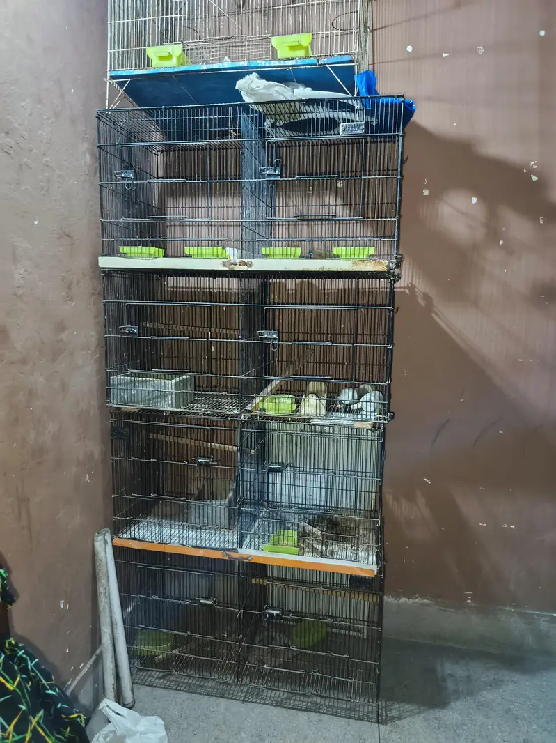 Folding cage 8 portions and single portion for sale — photo 2