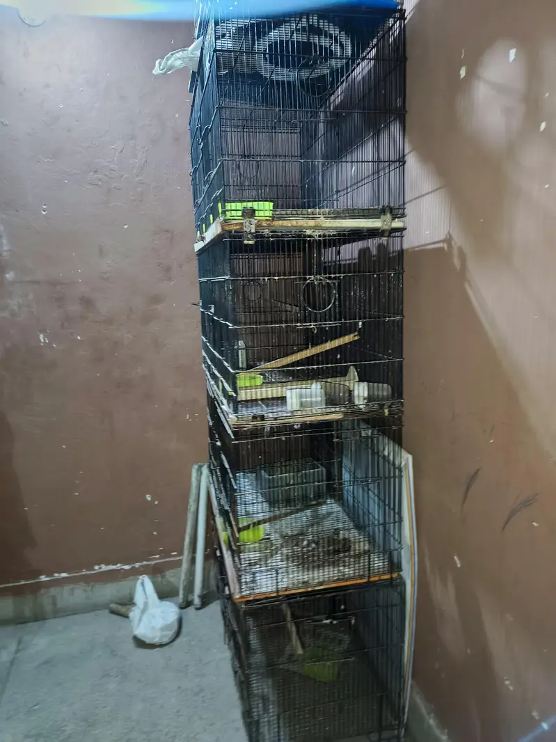 Folding cage 8 portions and single portion for sale — photo 3