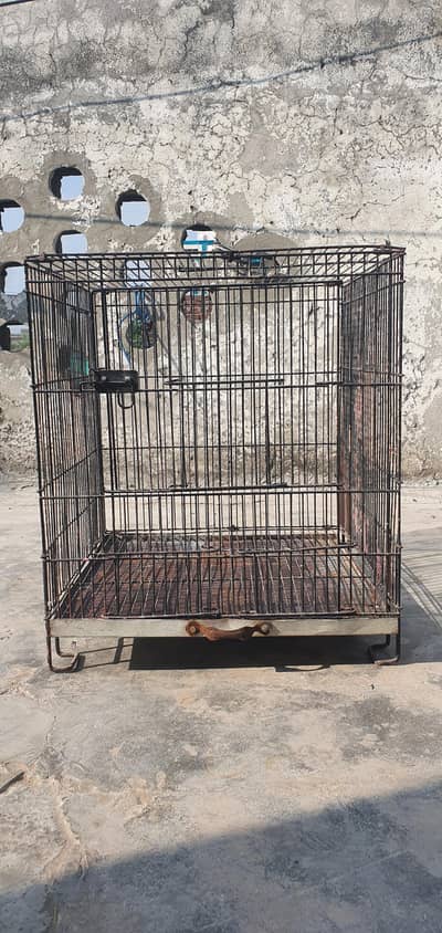 1.5 x 1.5 cages for sale