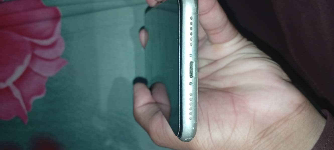 Apple iPhone 11 3