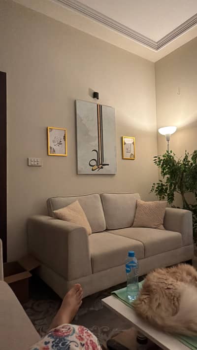 5 seater modern look