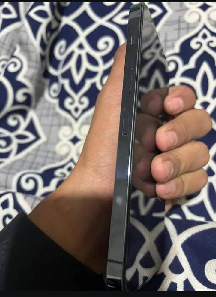 Apple iPhone 13 Pro Max 1