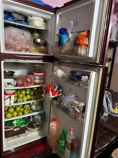 PEL Single Door Refrigerator Red Color - Good Condition