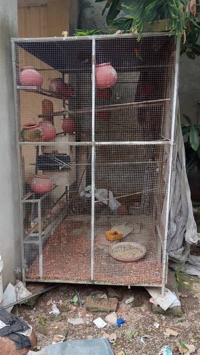 Urgent cage for sale