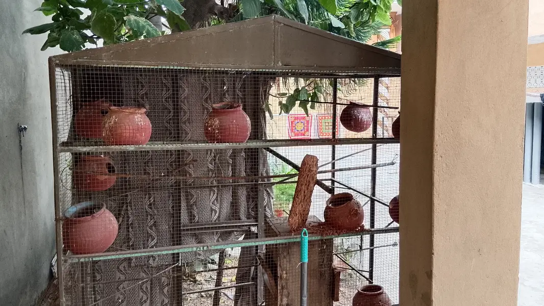 Urgent cage for sale — photo 2