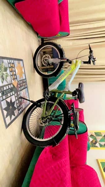 Brand New Fat Tyre Mountain Bicycle – Excellent Condition