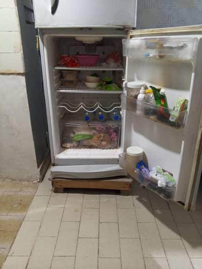 middium size waves frige.  cooling freezing  ok