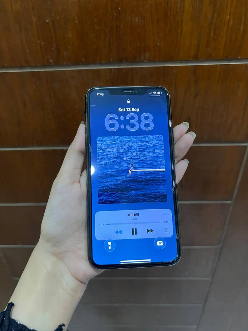 Apple iPhone 11 Pro Max 1
