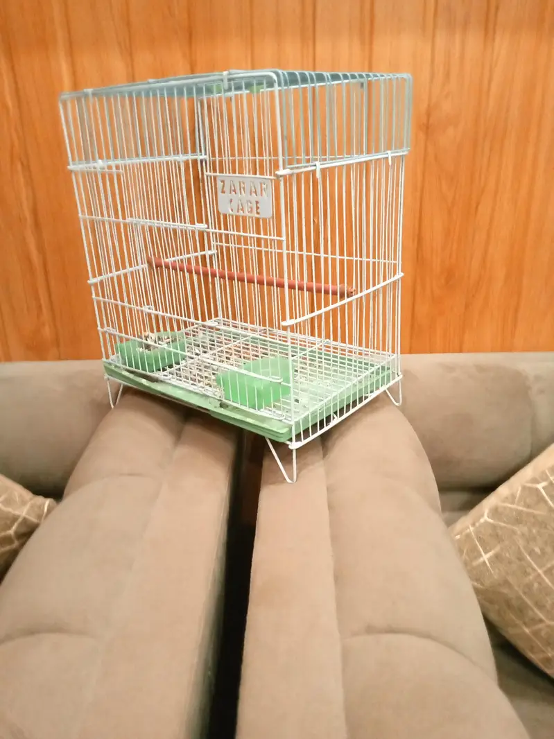mithu with cage 322//5844099 — photo 8