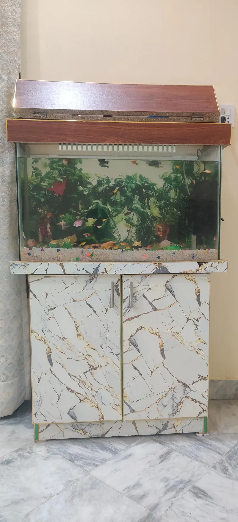 fish aquarium Gujranwala — photo 4