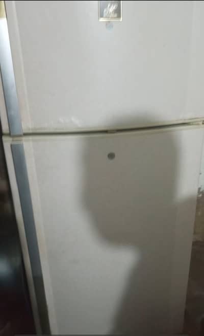 Main apna fridge bech raha hun