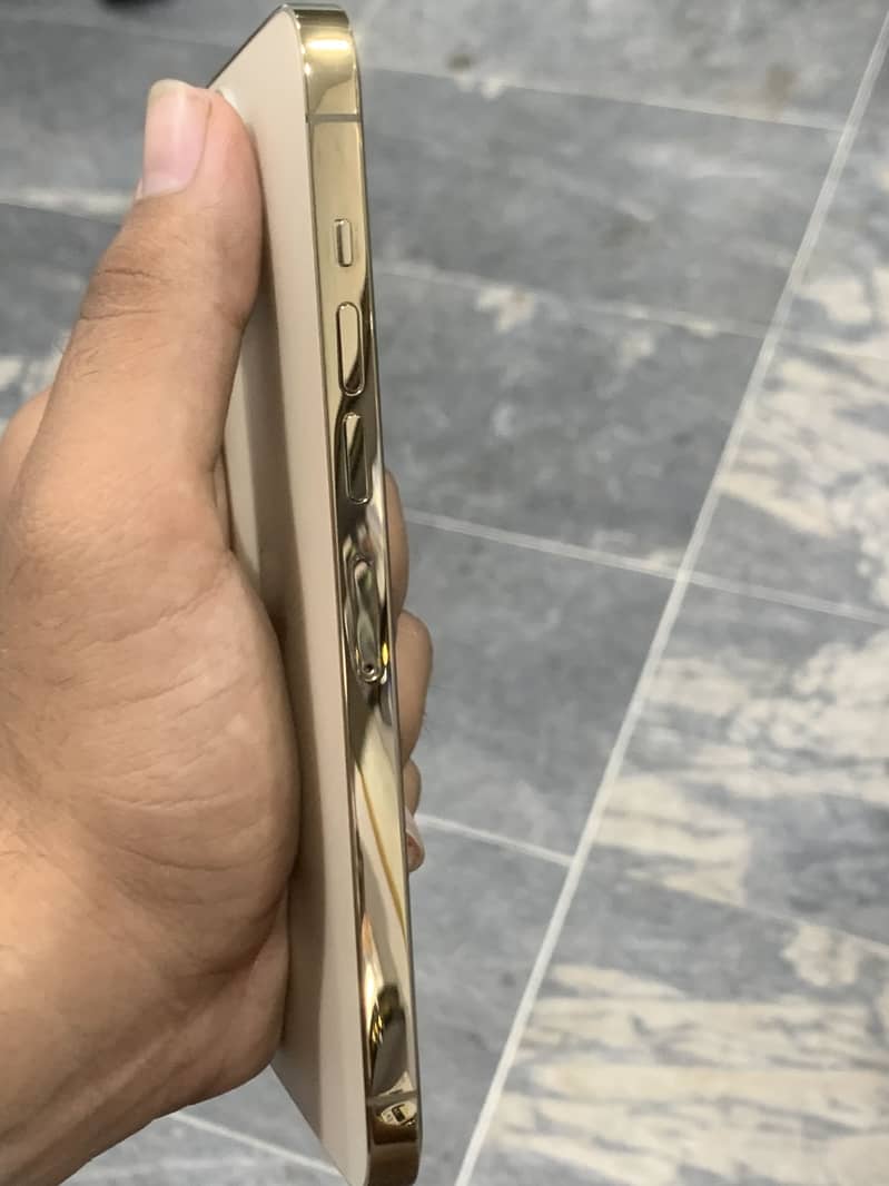 Apple iPhone 13 Pro Max 1