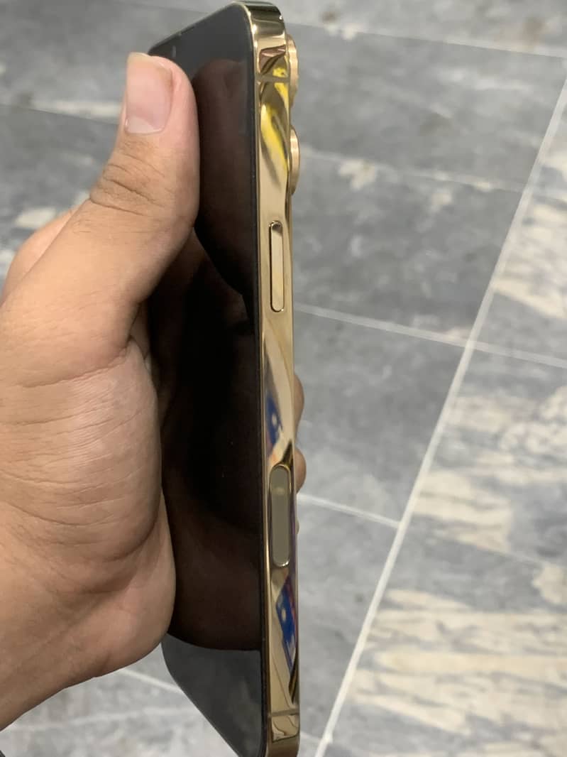 Apple iPhone 13 Pro Max 2