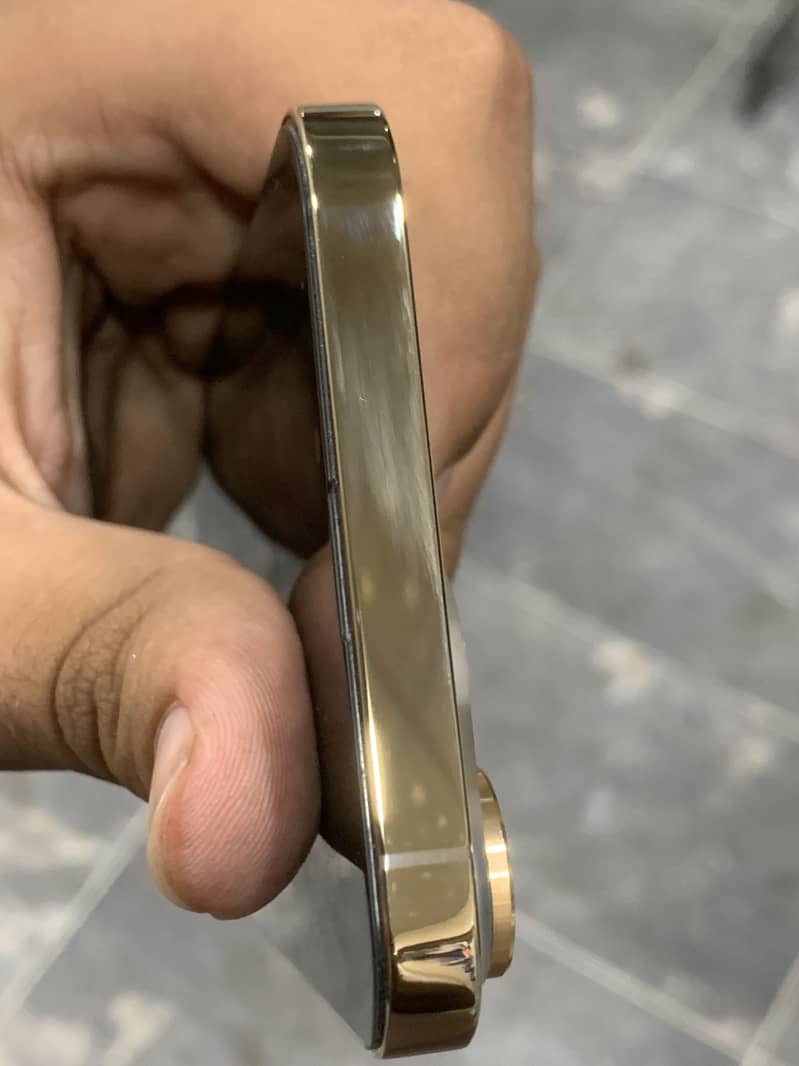 Apple iPhone 13 Pro Max 3