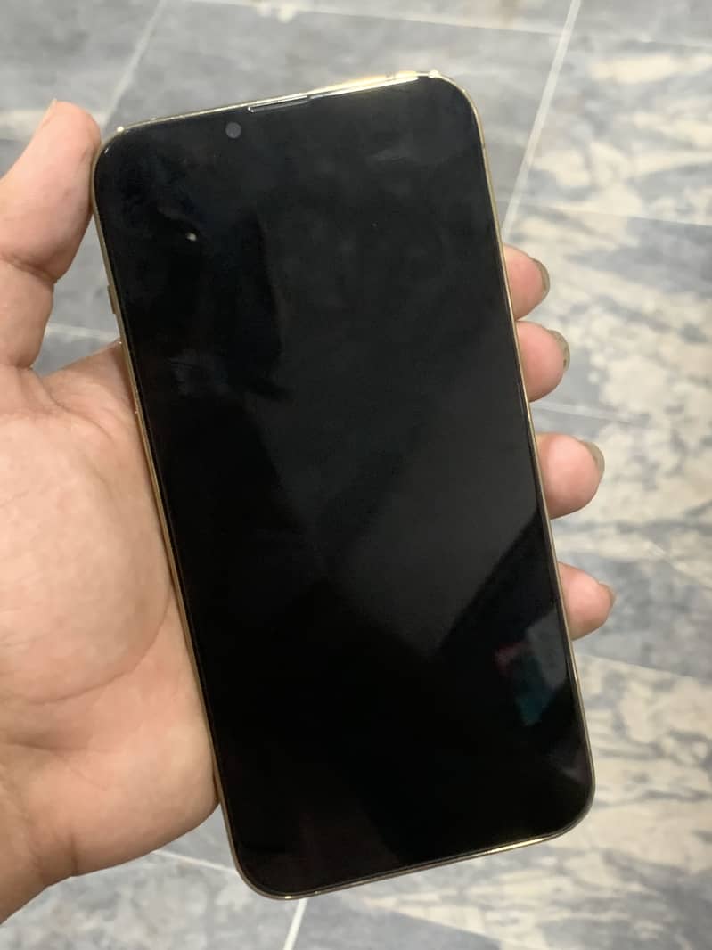 Apple iPhone 13 Pro Max 5