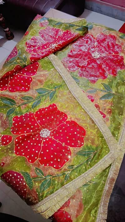 hand painted and embellished dupatta