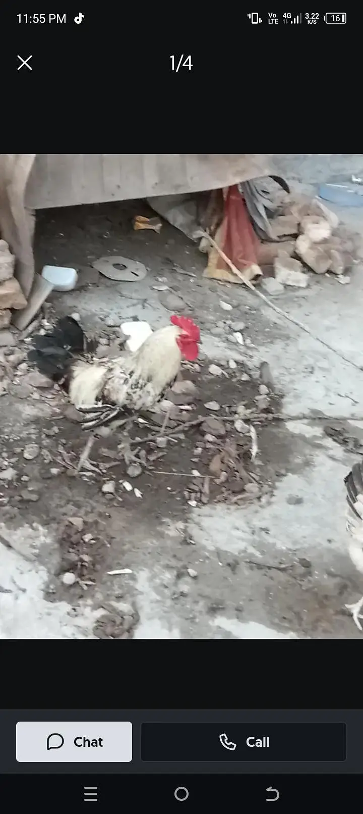 03451948580 active hai bilkul jisny lyna ho rabta kro — photo 2