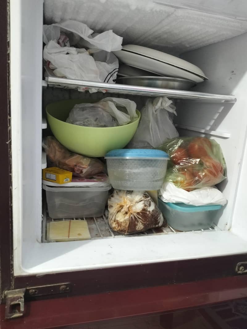 Orient refrigerated 2
