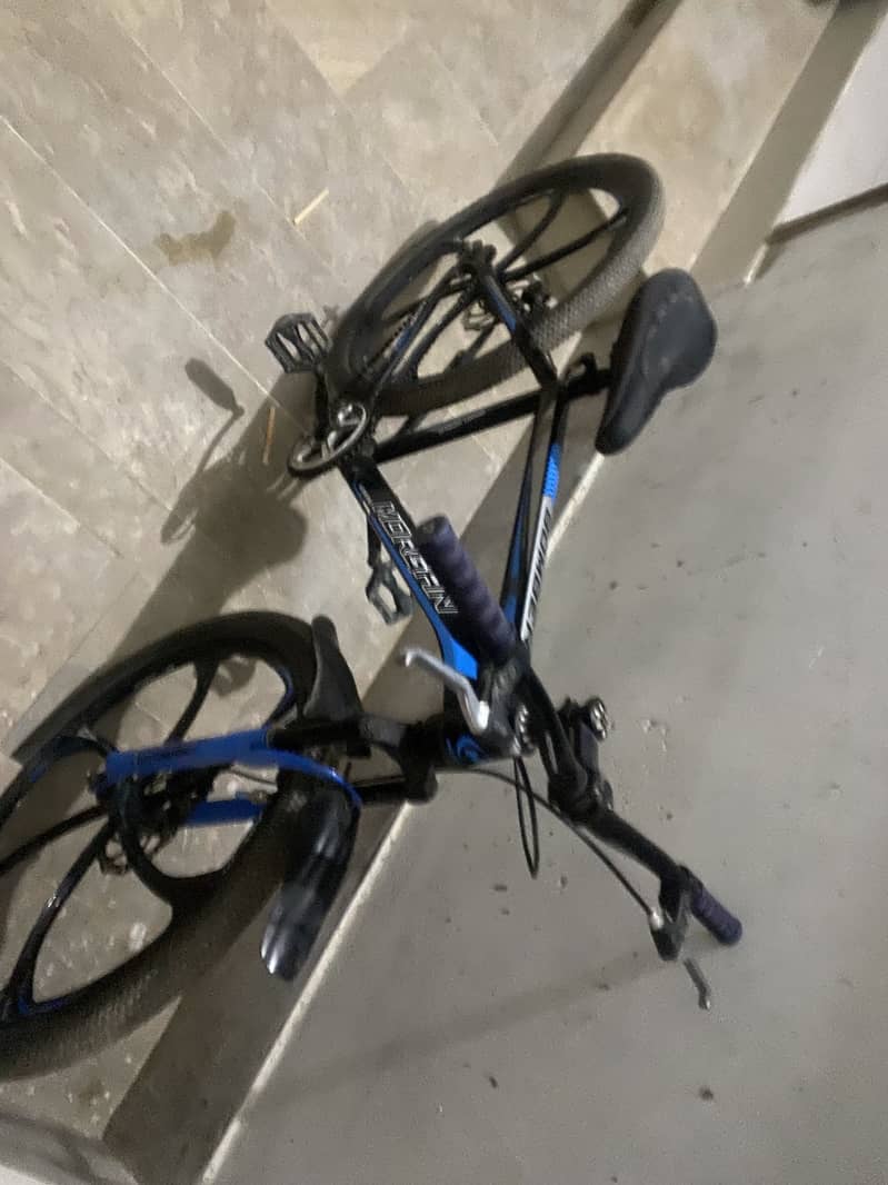 Morgan Cycle 2