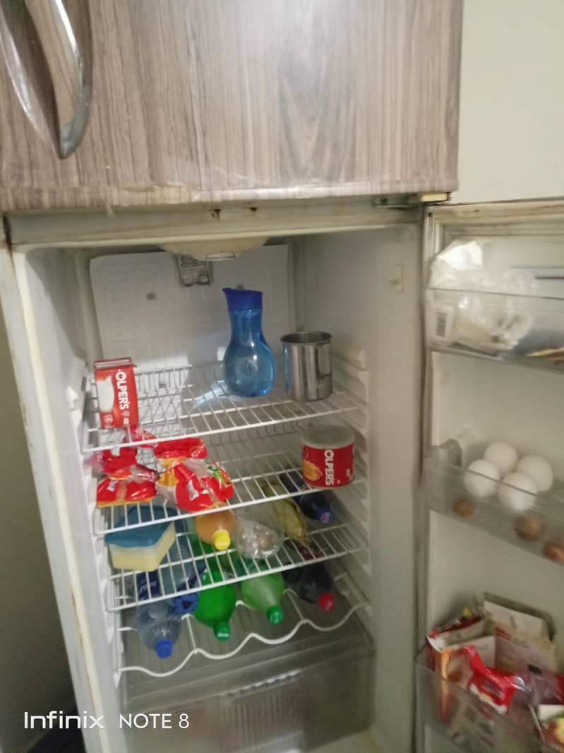 Waves Fridge 1