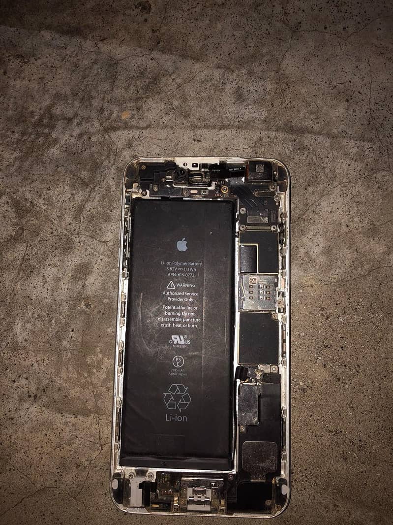 Apple iPhone 6 Plus 1