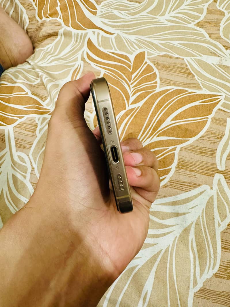 Apple iPhone 16 Pro Max 1