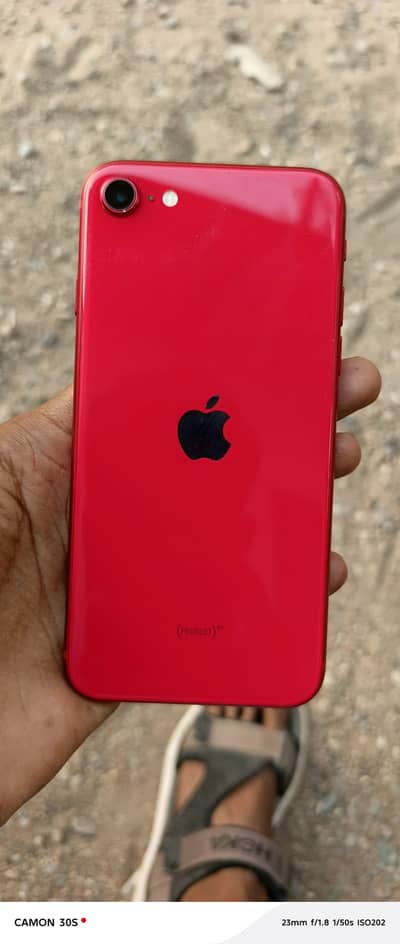 Apple iPhone SE 2020 : 2nd generation 256 gb