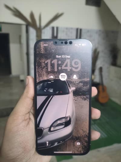 Apple iPhone 13 Pro Max