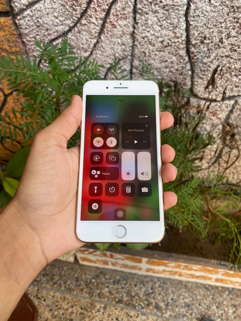 Apple iPhone 8 Plus 1