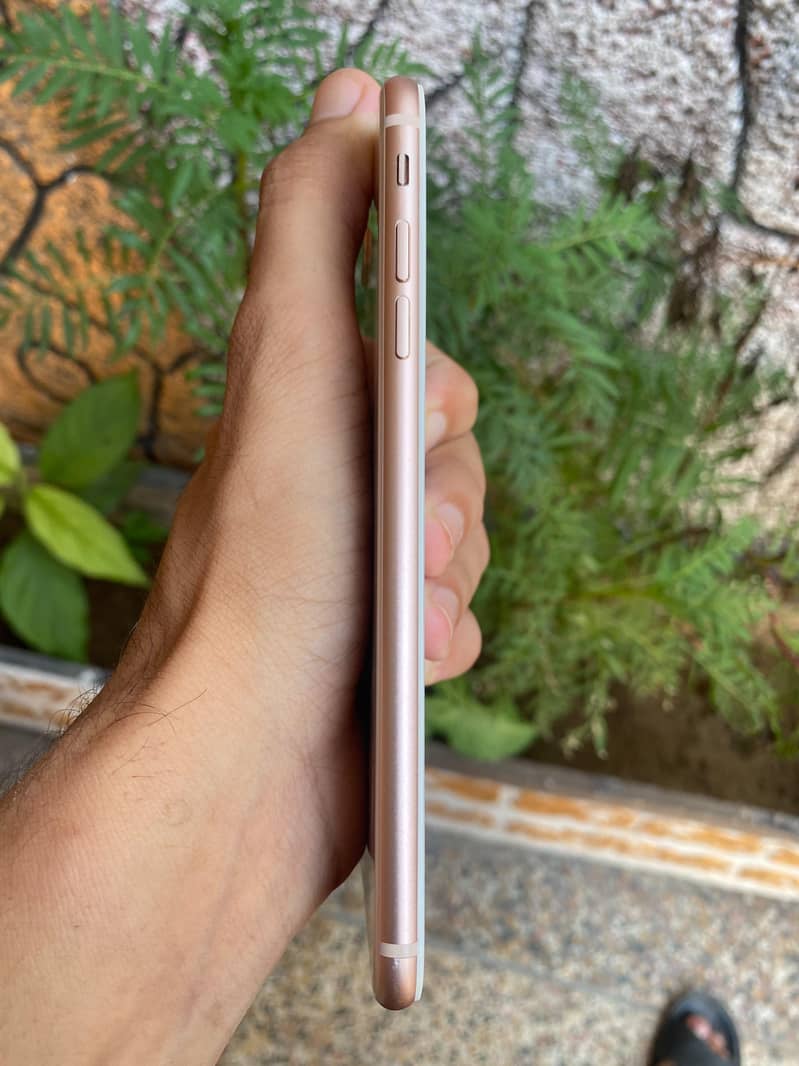 Apple iPhone 8 Plus 3