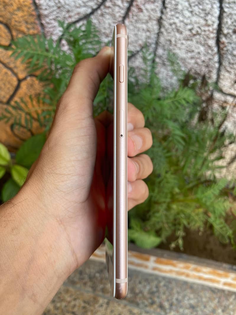 Apple iPhone 8 Plus 6